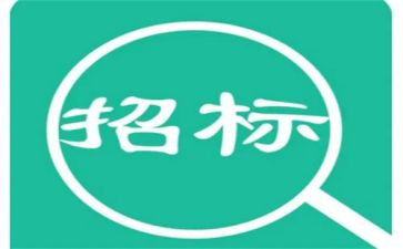 镇招标办工作总结5篇