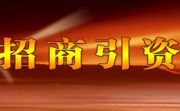 招商招商工作总结参考6篇
