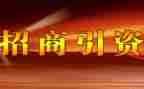 招商招商工作总结参考6篇
