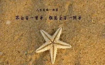 有哲理的演讲稿精选6篇