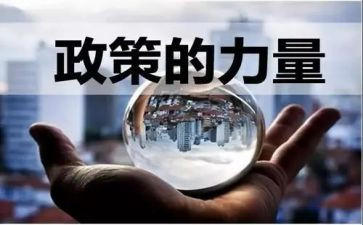 小学资助政策宣传总结7篇