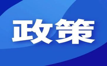 双减政策下的心得体会参考5篇
