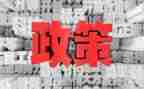 双减政策下的心得体会优秀8篇
