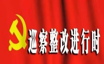 镇巡查整改报告6篇