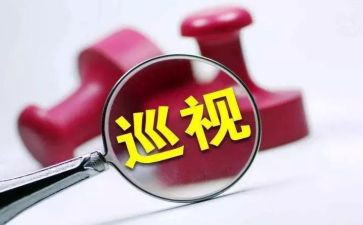 2024药店整改报告8篇