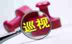 2024药店整改报告8篇