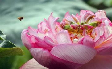 珍贵友情作文优秀7篇