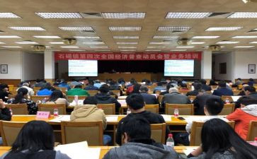 乡镇统计工作自查报告5篇
