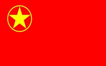 2023年镇团委述职报告最新8篇
