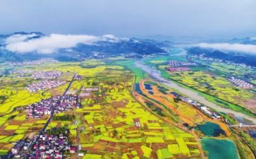 乡村振兴述职报告2023优质7篇