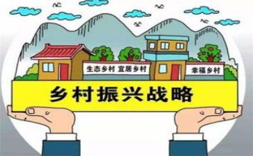 乡村振兴发言稿范文6篇