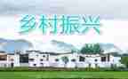 乡村振兴的事迹7篇
