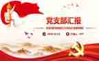 党支部换届后述职报告8篇