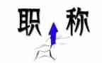 尽职称述职报告8篇
