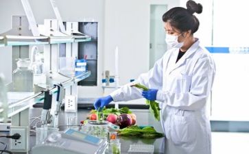 技术质量处述职报告6篇