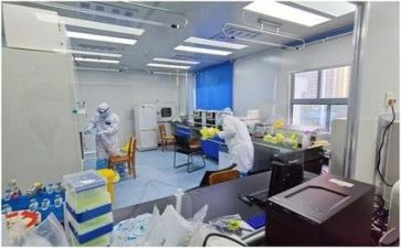 质量活动总结模板7篇