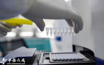 质量自查报告最新7篇