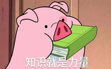 安全知识进校园演讲稿8篇