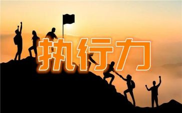 管理执行情况自查报告6篇