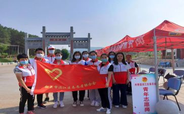 小志愿者服务活动总结精选5篇