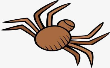 吃蜘蛛的人作文7篇