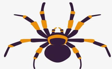 吃蜘蛛的人作文优秀7篇