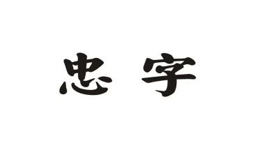 忠的感悟心得体会最新5篇