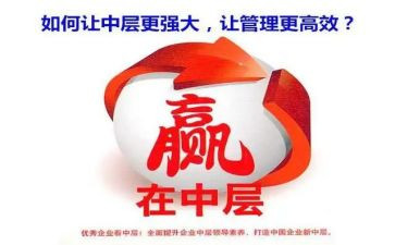 中层干部年度总结5篇