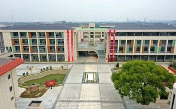 中心校校长工作总结7篇