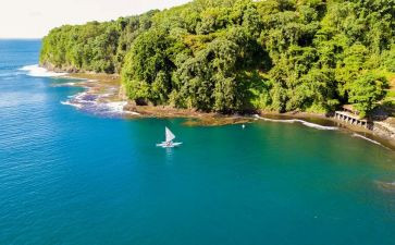 中一工作总结精选8篇