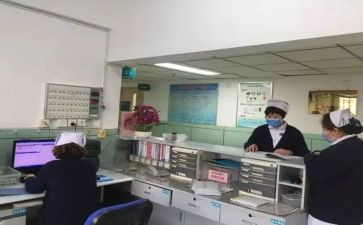 专科的自我鉴定优质7篇