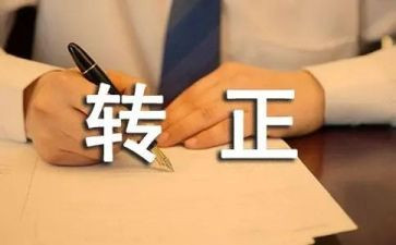 个人述职转正报告范文7篇