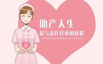 个人总结助产总结8篇