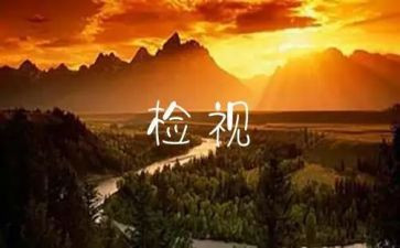 奖自检自查报告模板5篇