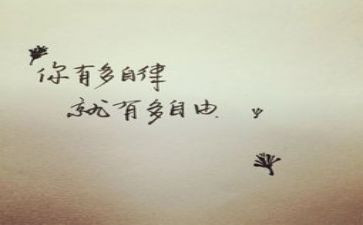 自律自查报告6篇
