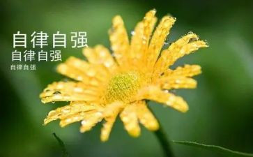自强好少年事迹7篇