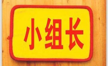 聘组长自我鉴定5篇