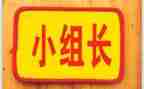 大组长工作总结优秀7篇