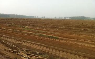 房屋合同租赁模板通用8篇