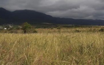 国有房屋租赁合同7篇