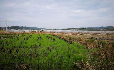 假房屋租赁合同参考6篇